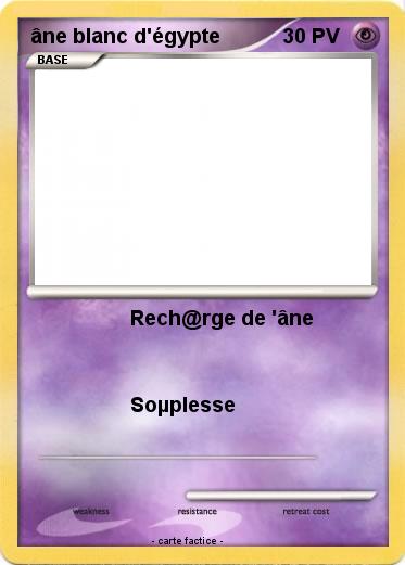 Pokemon âne blanc d'égypte