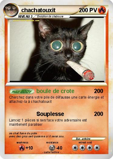 Pokemon chachatouxit