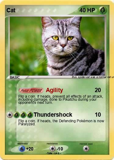 Pokemon Cat
