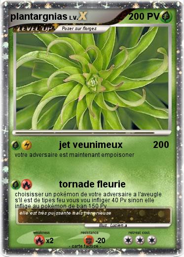 Pokemon plantargnias