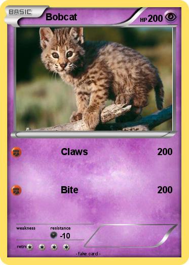 Pokemon Bobcat