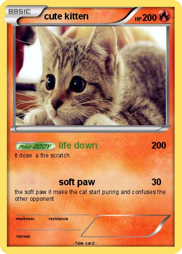 Pokemon cute kitten