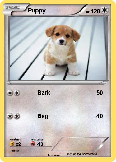 Pokemon Puppy