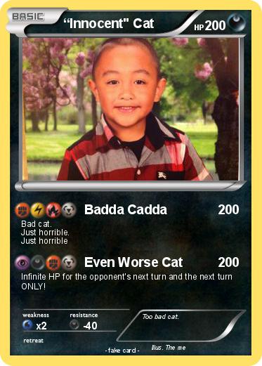 Pokemon “Innocent" Cat