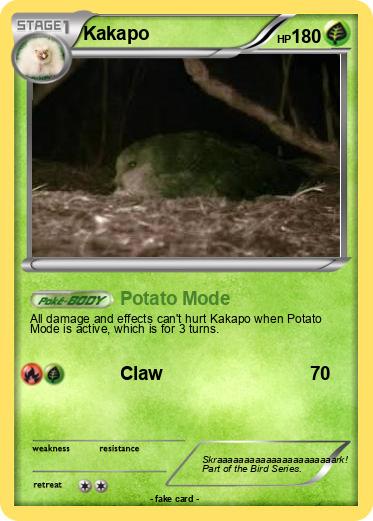 Pokemon Kakapo