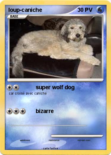 Pokemon loup-caniche