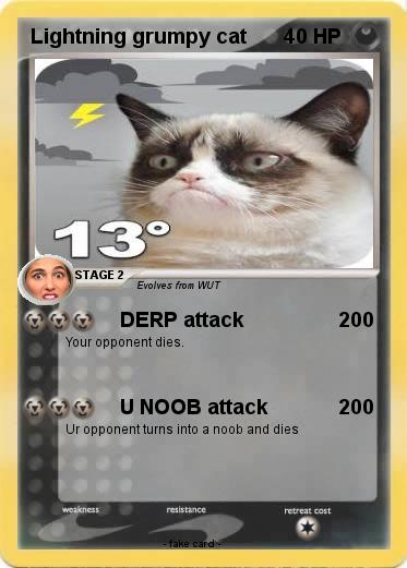 Pokemon Lightning grumpy cat