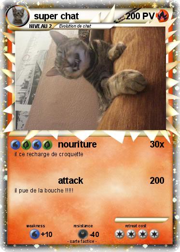 Pokemon super chat