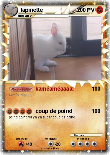 Pokemon lapinette