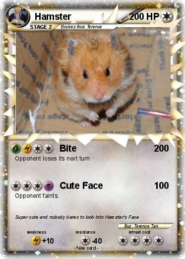Pokemon Hamster