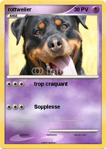 Pokemon rottweiler