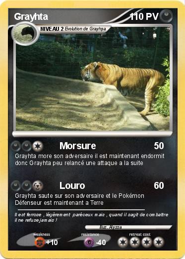 Pokemon Grayhta