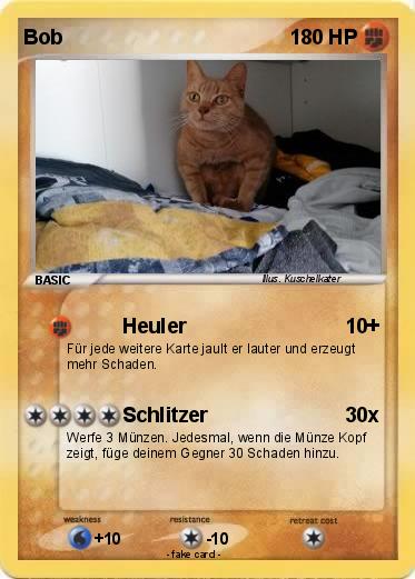 Pokemon Bob