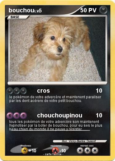 Pokemon bouchou