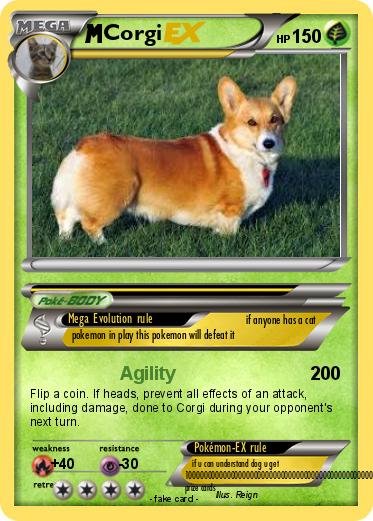 Pokemon Corgi