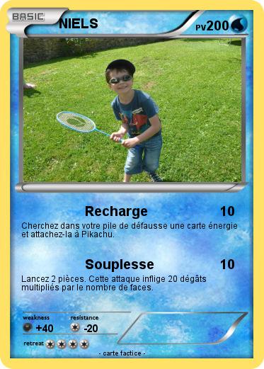 Pokemon NIELS