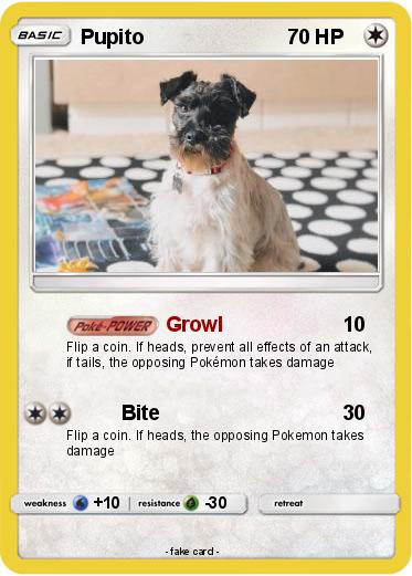 Pokemon Pupito
