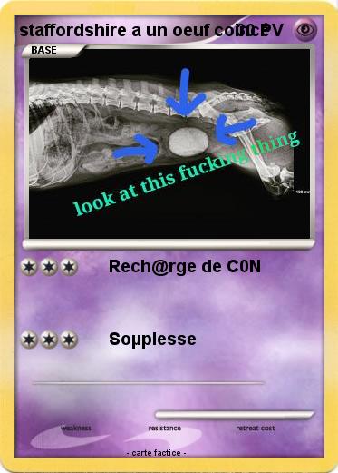 Pokemon staffordshire a un oeuf coincé