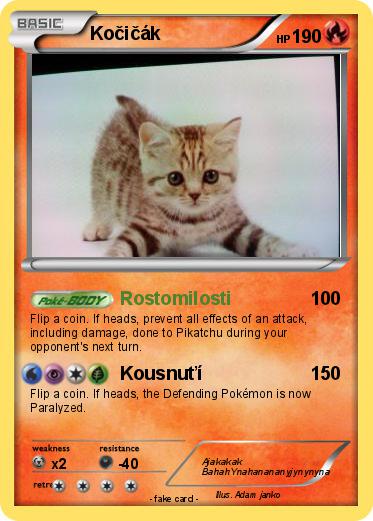 Pokemon Kočičák