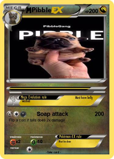 Pokemon Pibble