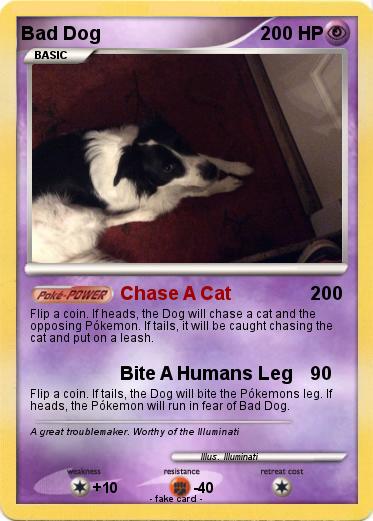 Pokemon Bad Dog