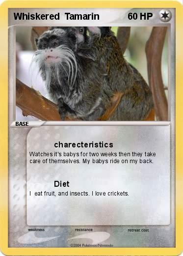 Pokemon Whiskered  Tamarin