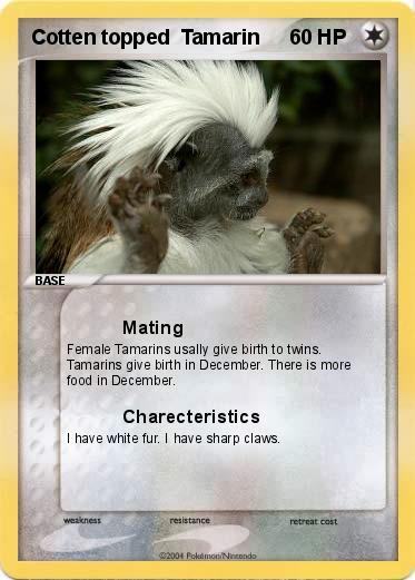 Pokemon Cotten topped  Tamarin