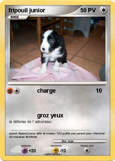 Pokemon fripouil junior