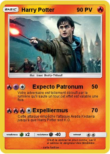 Pokemon Harry Potter