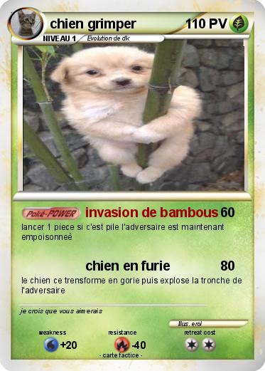 Pokemon chien grimper