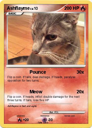 Pokemon Ashflayme