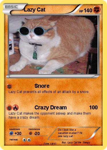 Pokemon Lazy Cat