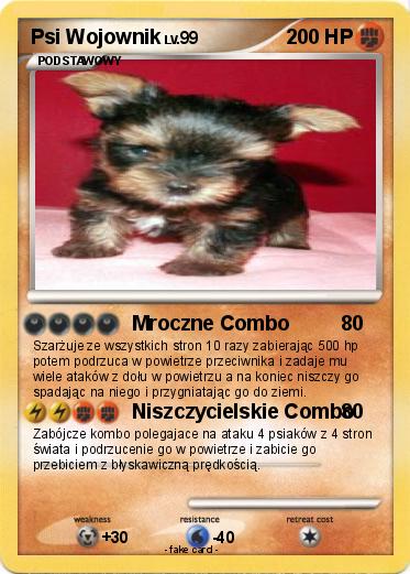 Pokemon Psi Wojownik
