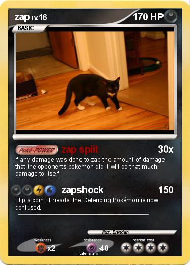 Pokemon zap