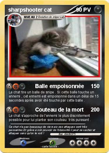 Pokemon sharpshooter cat