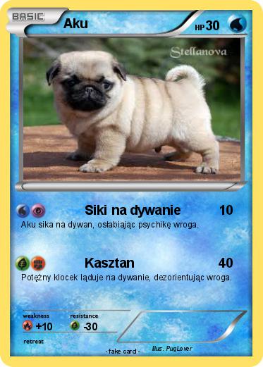 Pokemon Aku