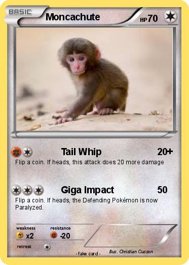 Pokemon Moncachute
