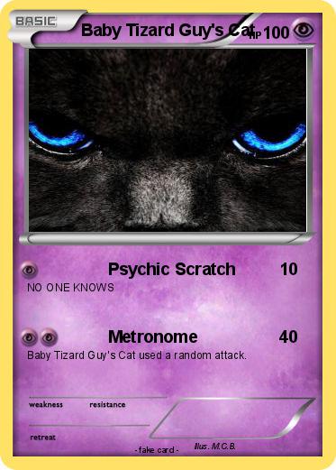Pokemon Baby Tizard Guy's Cat