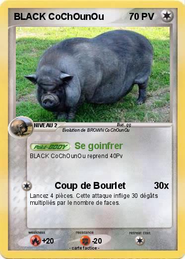 Pokemon BLACK CoChOunOu