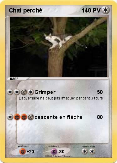 Pokemon Chat perché