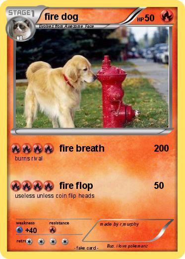 Pokemon fire dog