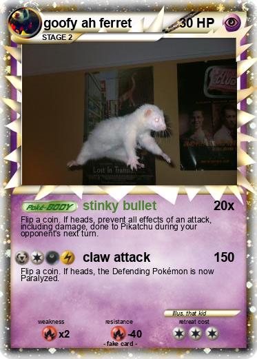 Pokemon goofy ah ferret