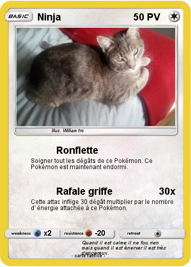 Pokemon Ninja