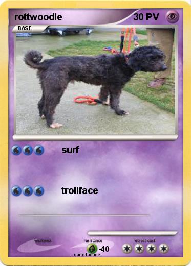 Pokemon rottwoodle