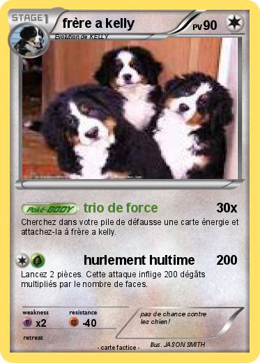 Pokemon frère a kelly