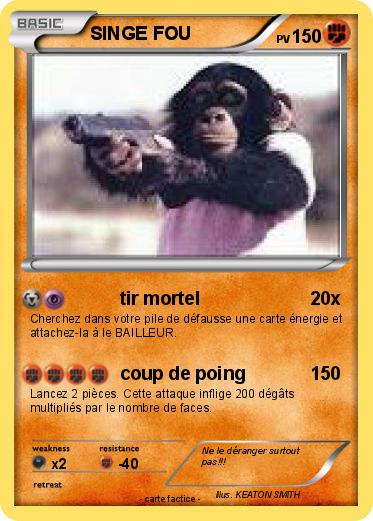 Pokemon SINGE FOU