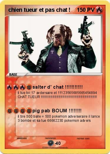 Pokemon chien tueur et pas chat !