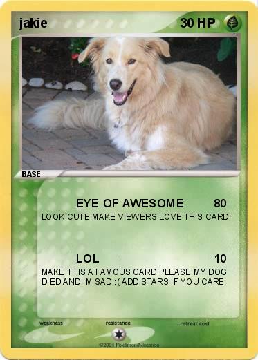 Pokemon jakie