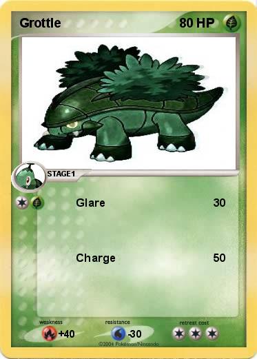 Pokemon Grottle