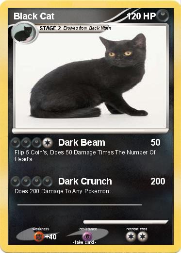 Pokemon Black Cat